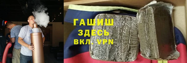PSILOCYBIN Алзамай