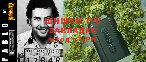 дмт Алексин