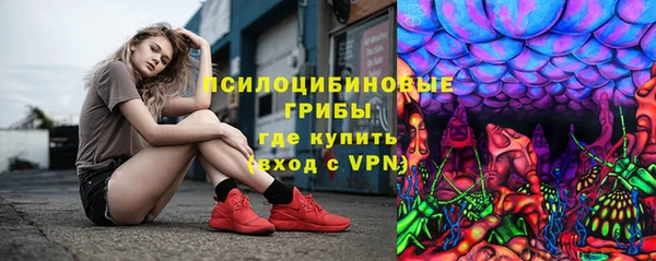 дмт Алексин