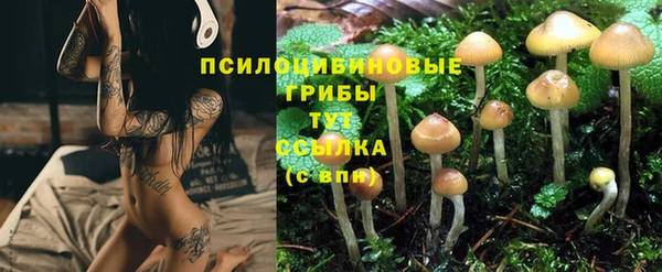 прущие крисы Алексеевка