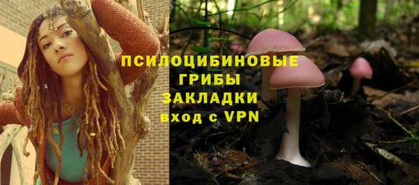 дмт Алексин