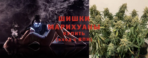 PSILOCYBIN Алзамай
