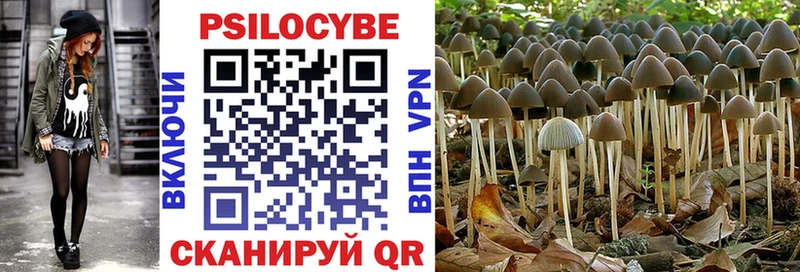 как найти Майский Псилоцибиновые грибы ЛСД