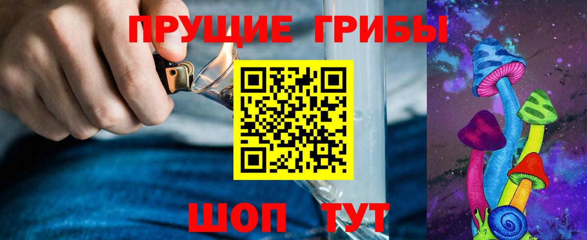 Галлюциногенные грибы Psilocybe Майский